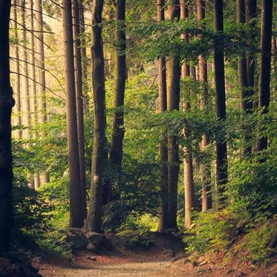 ManBetX登录网页版