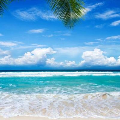 中欧官方体育app下载